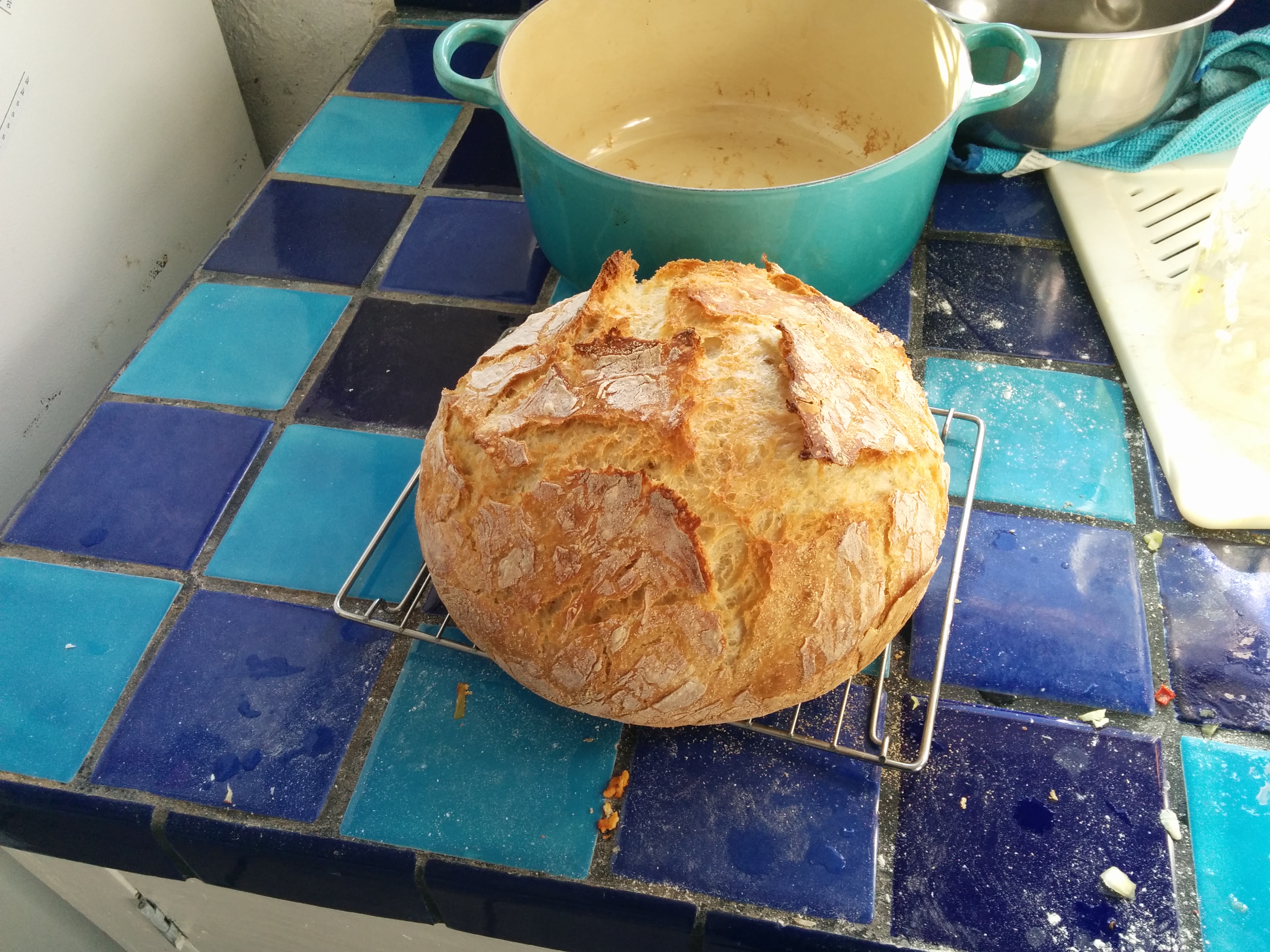 The most recent loaf of dutch-oven bread.